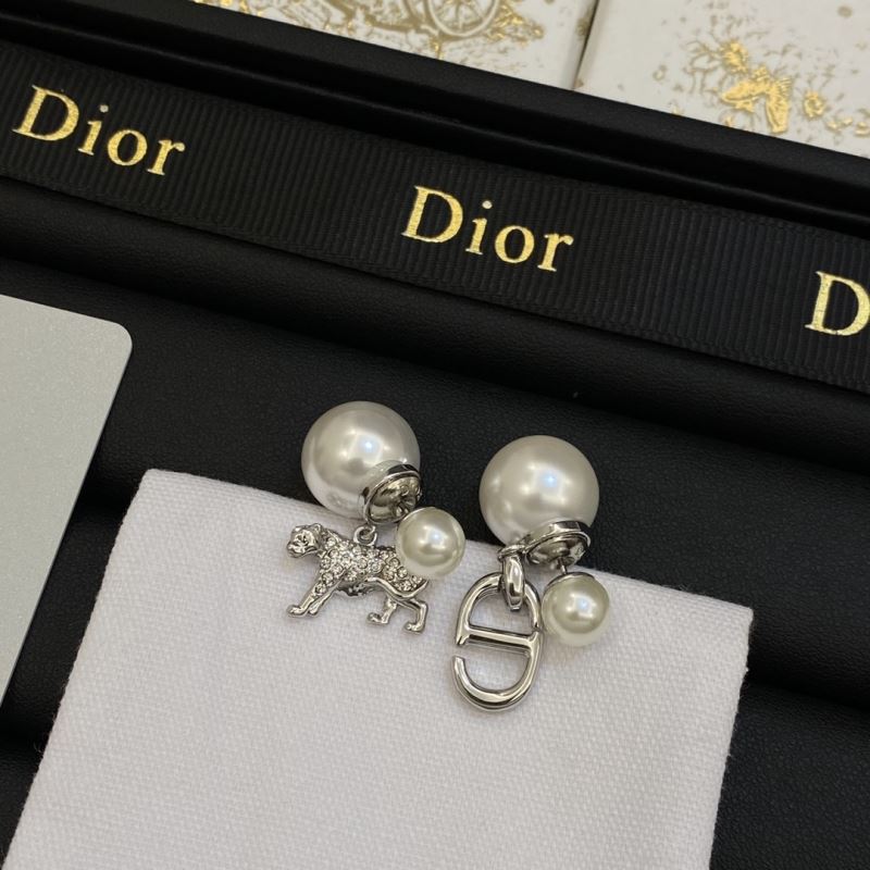 Christian Dior Earrings